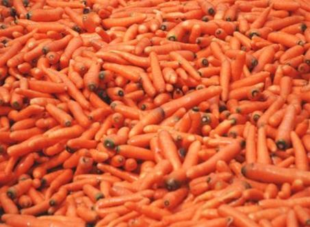 Carrot Pap